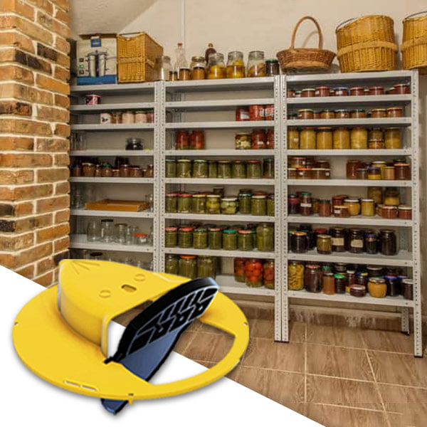 Mousetrap – Csapda egereknek és patkányoknak slider